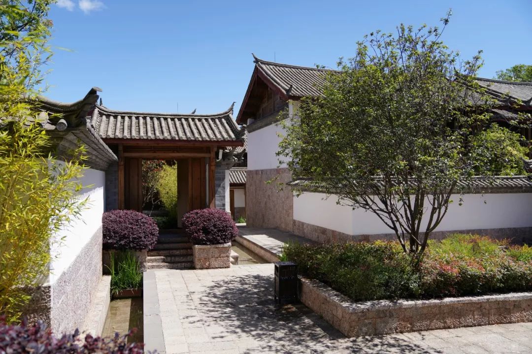 花5000多住迪士尼酒店,花5000住酒店什么体验