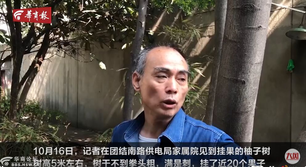 最陕西|愤怒！4岁孩子在看护点被殴打，一看监控，几十个孩子都被打了