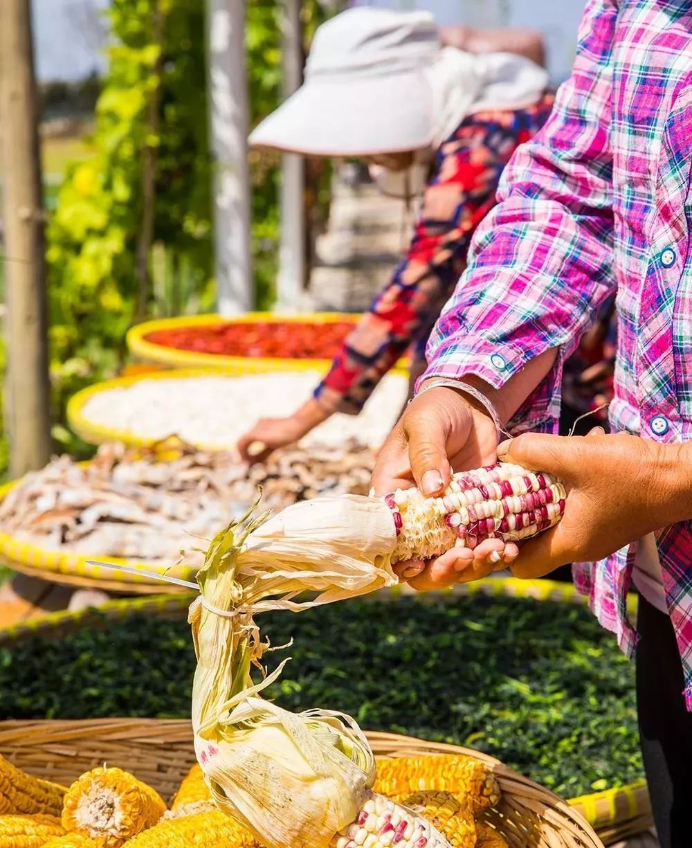 盘点能唤起乡愁的田园,能唤起乡愁的田园你还没去过