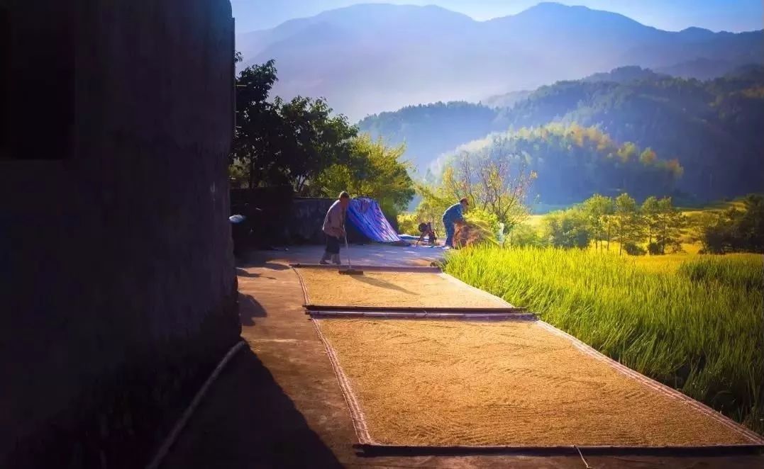 盘点能唤起乡愁的田园,能唤起乡愁的田园你还没去过
