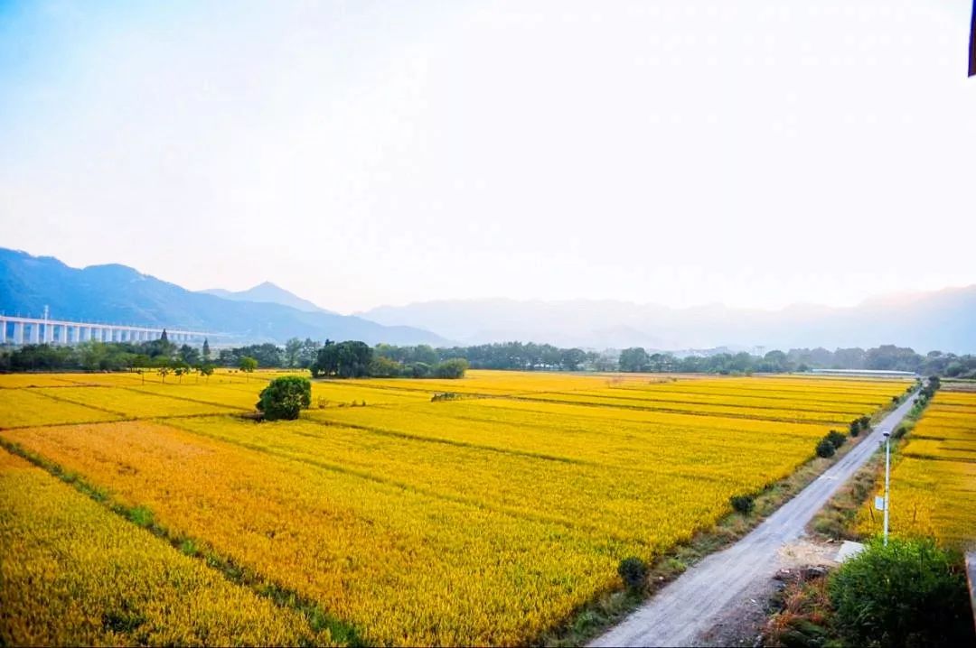 盘点能唤起乡愁的田园,能唤起乡愁的田园你还没去过