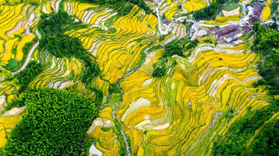 盘点能唤起乡愁的田园,能唤起乡愁的田园你还没去过