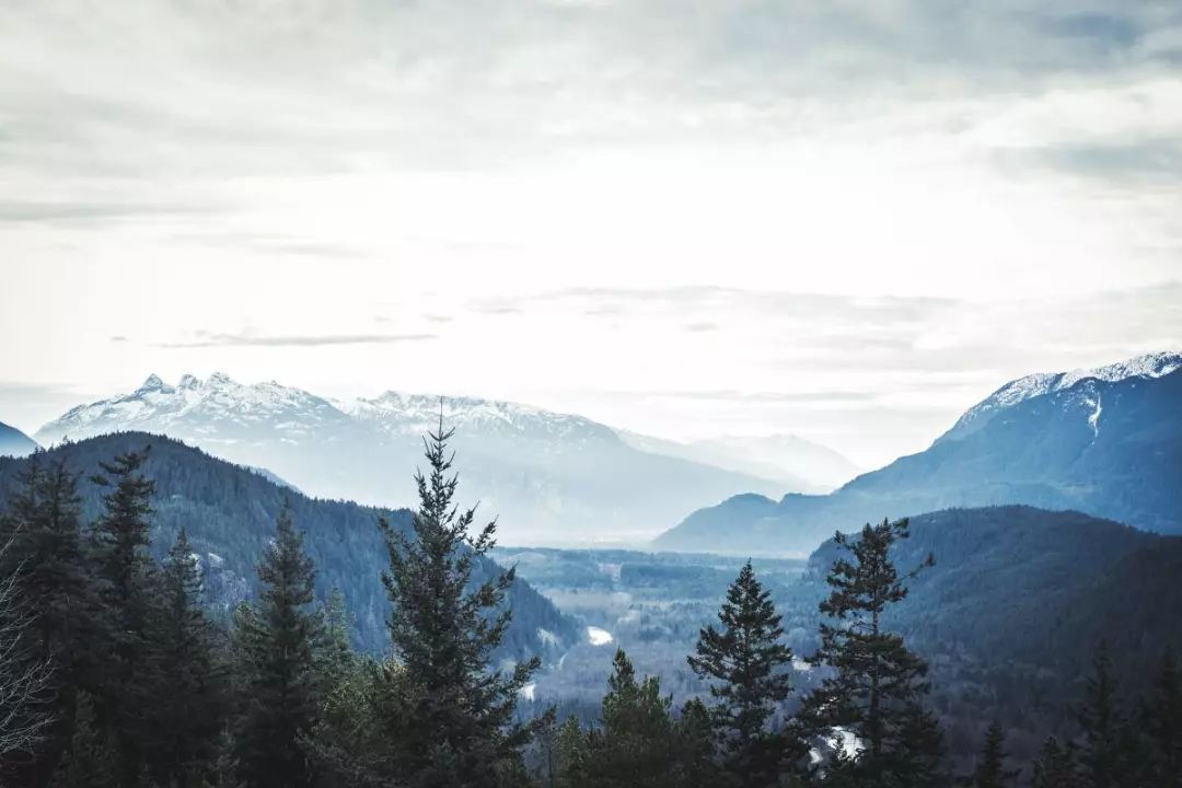 诗词中难读的20个字,诗词中令人惊艳的短句