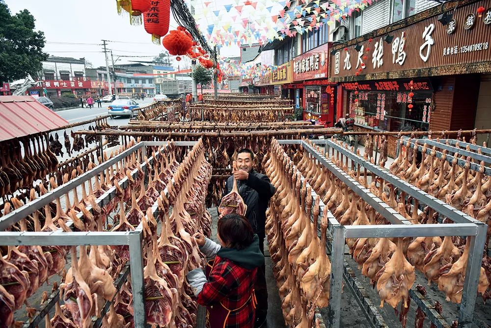 中国鸭文化,探秘长江欣赏美景