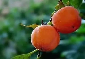 你摊上事了歌词完整版,你摊上事了完整版字幕