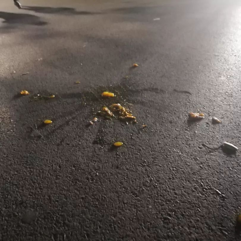 你摊上事了歌词完整版,你摊上事了完整版字幕