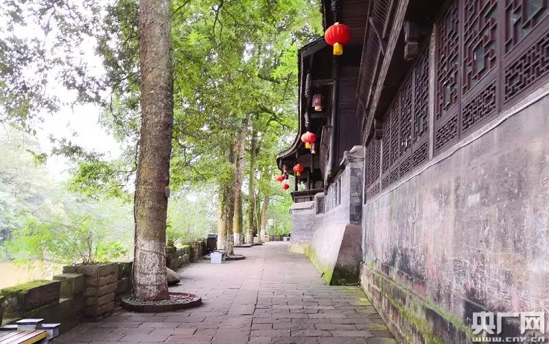 推进绿色发展促进循环发展,推动绿色转型向竞争优势转化