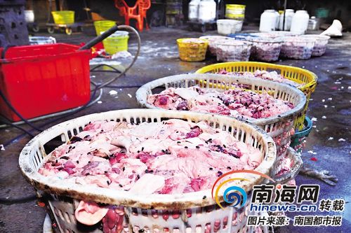 海口秀英石山案件,海口秀英区反腐