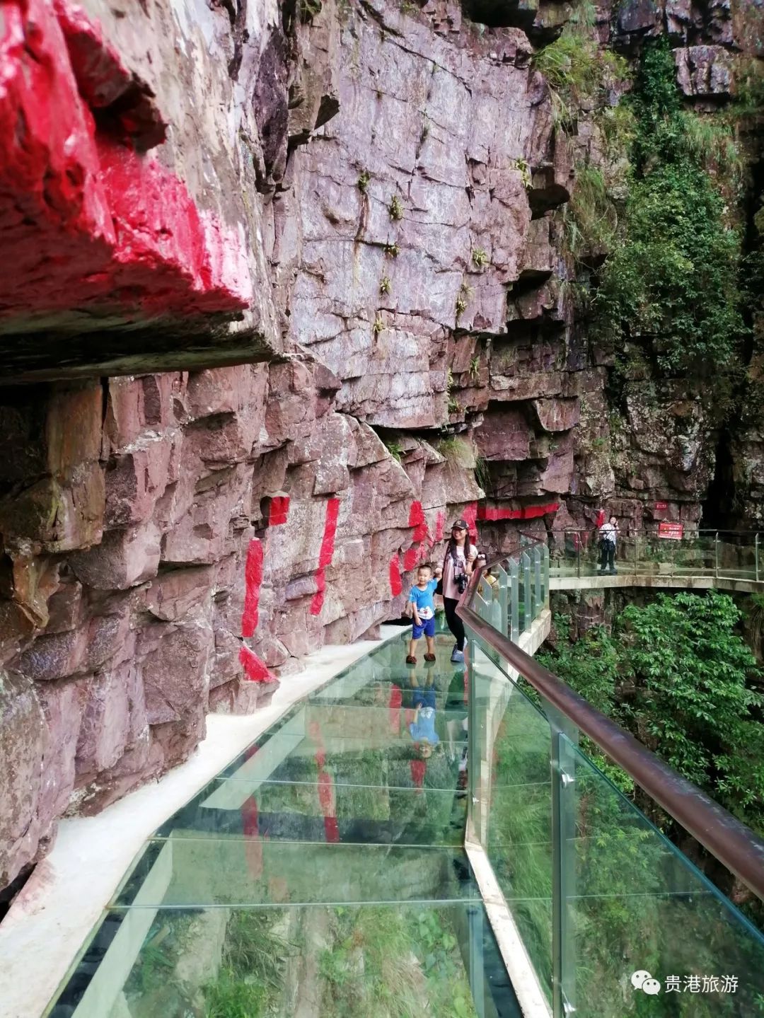 推荐|七彩天梯、野生猕猴、汽车露营……贵港龙潭国家森林公园与你不见不散