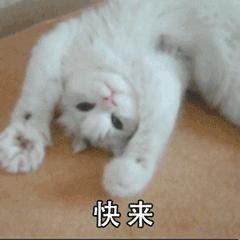 消费券限时领取,免费送消费券领取