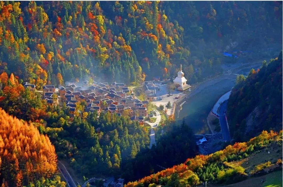 最美川西看彩林推荐地,美哭了这才是虹口秋天最美的地方