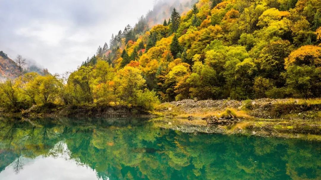 最美川西看彩林推荐地,美哭了这才是虹口秋天最美的地方