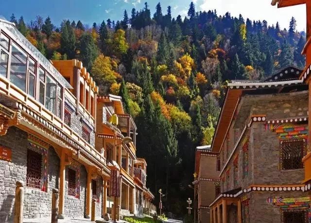 最美川西看彩林推荐地,美哭了这才是虹口秋天最美的地方