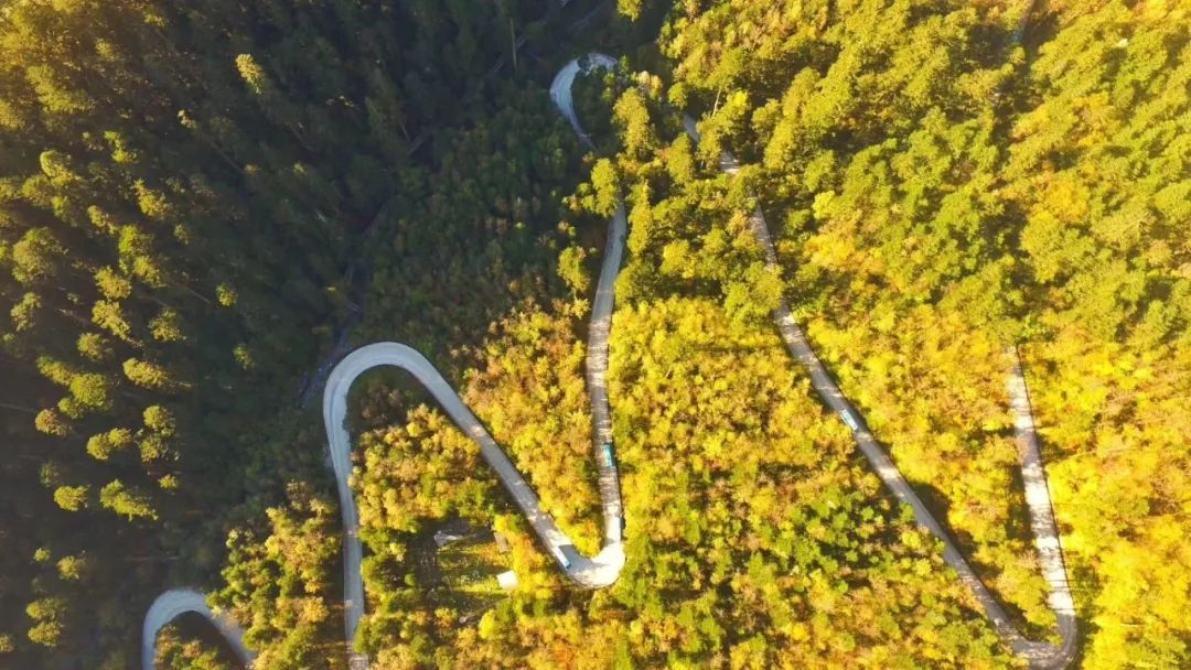 最美川西看彩林推荐地,美哭了这才是虹口秋天最美的地方