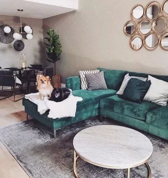 请问一下白色沙发脏了怎样清理,沙发脏了不用拆不用洗