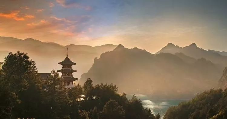 桂花开了到处弥漫着迷人的香味,桂花开了朗读