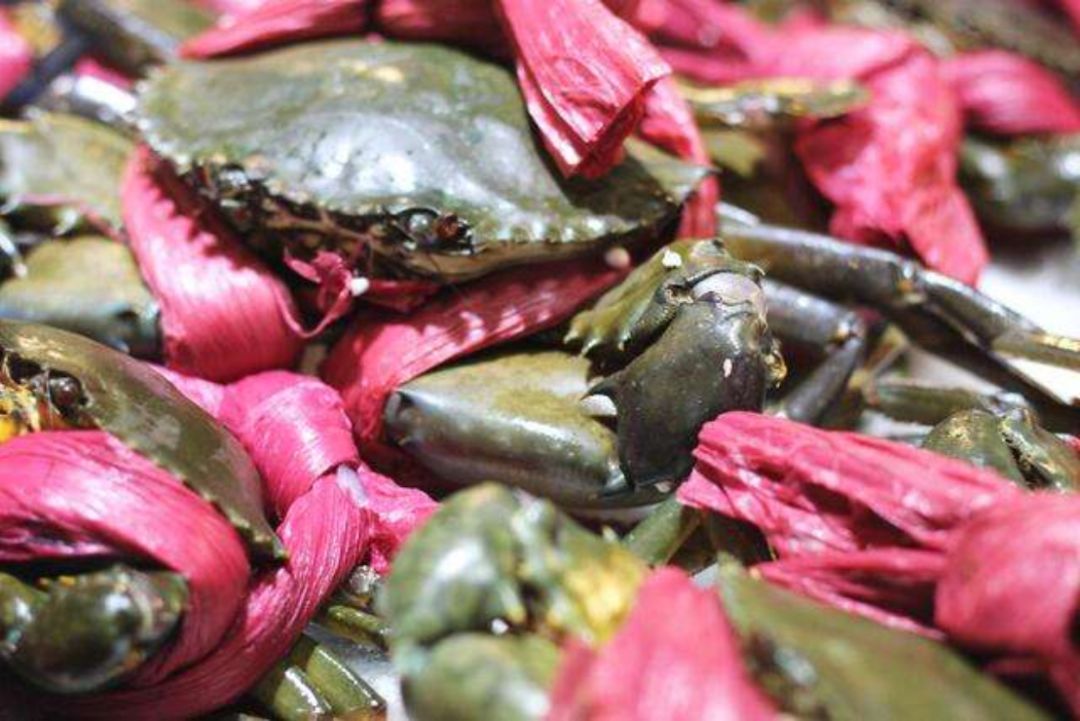 厦门首单！“螃蟹绑大绳”被罚6000多，螃蟹销货款没收！举报看这里→→