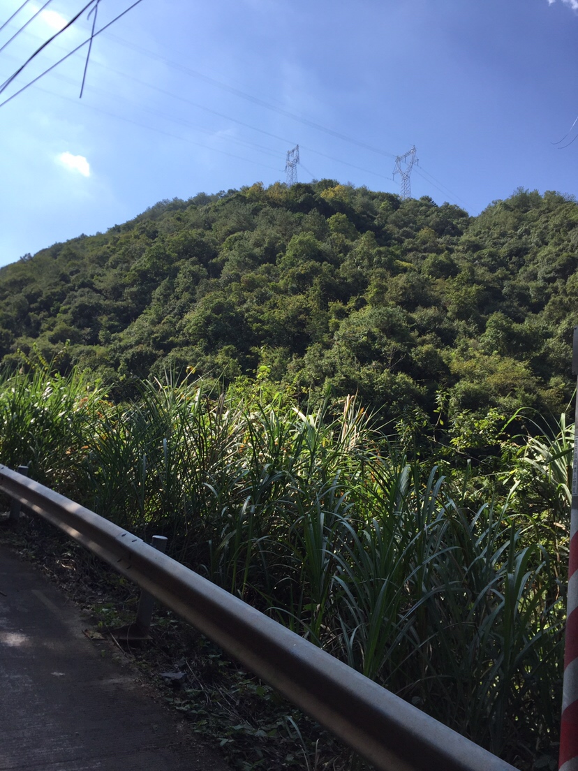 黑鱼吃东西咬得深怎么取钩,捕捉黑鱼最简单方法