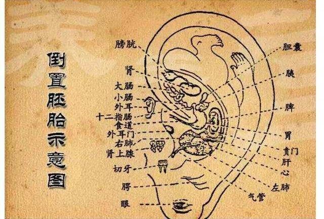 龙田金秋妇女儿童医院中医科开诊针对不孕不育及妇科疾病治疗反馈理想