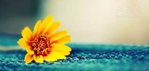 夜话调查丨不带手机一天心发慌，工作不在态势，总感觉少点啥，是说你吗？