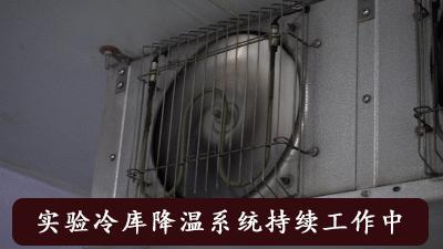 零下50度不冻防寒服,极地零下70度防寒鞋