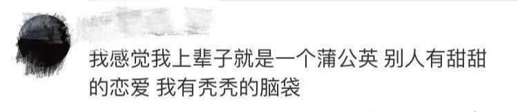 一根头发价值,一根头发值一万