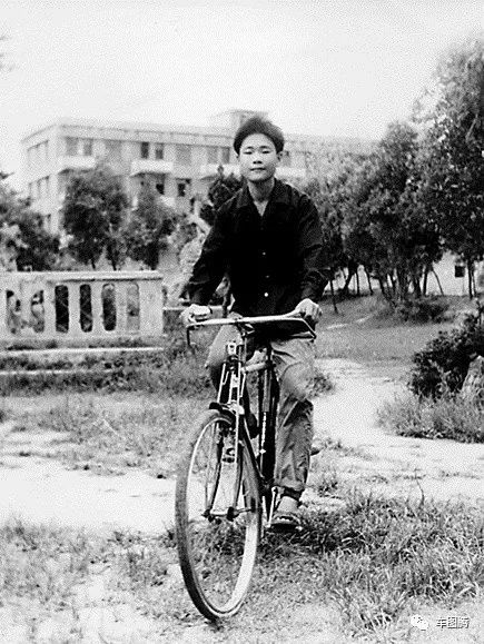 这盛世如你所愿1949,这盛世如你所愿新中国史