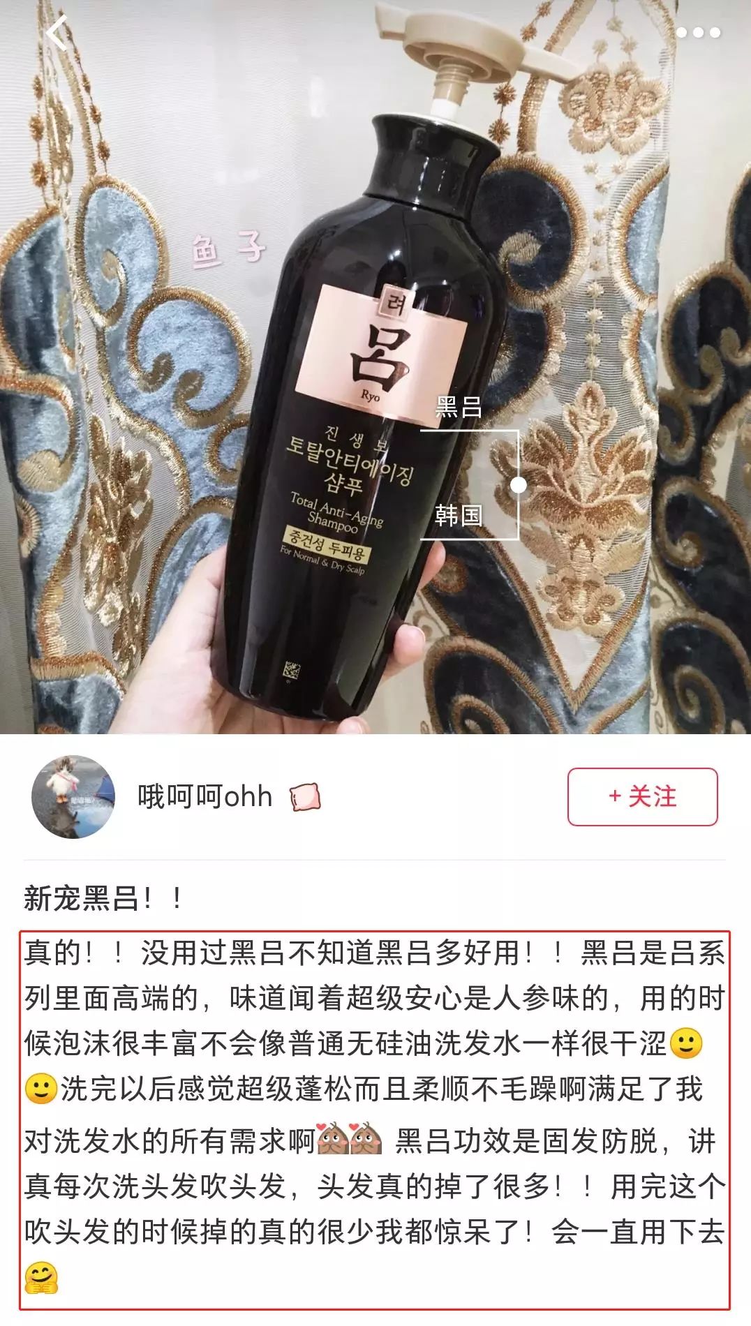 一根头发价值,一根头发值一万