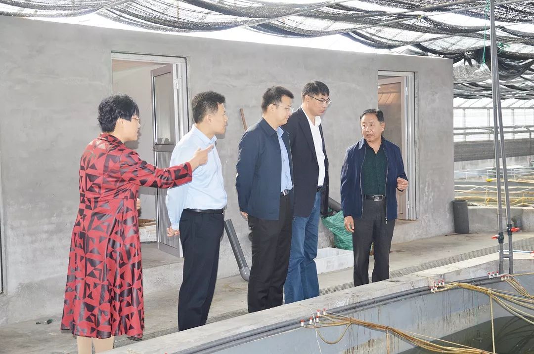 中国工程院院士海阳,海阳出了几位院士