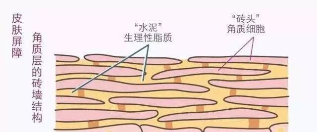 粉丝给我出了个难题该怎么办,美容院把脸整坏了在哪投诉