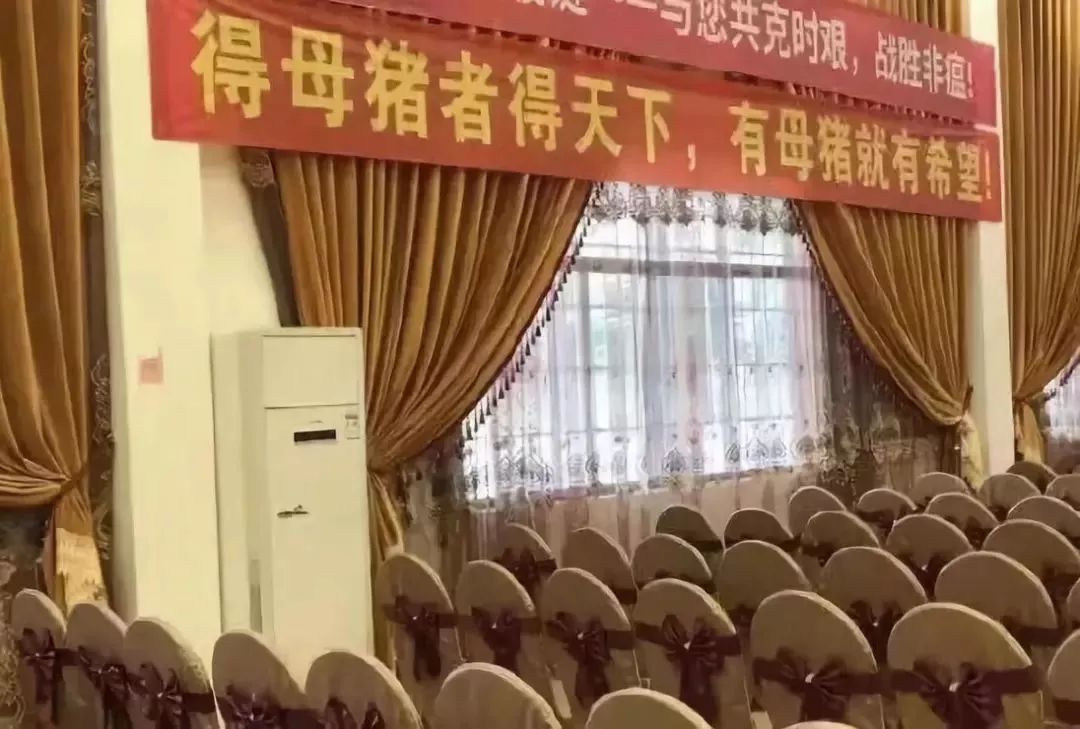 鏀硅鍏荤尓涓婂競鍏徃,涓婂競鍏徃鍏荤尓鐪熷疄鏀跺叆