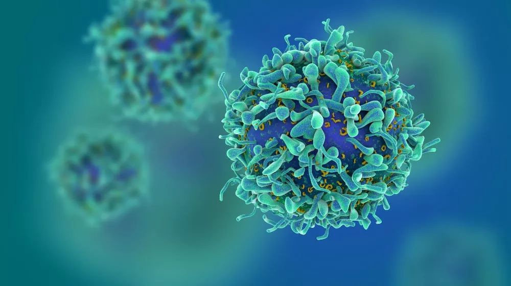 如何把冷肿瘤变成热肿瘤,肿瘤热疗新趋势热死肿瘤不伤身