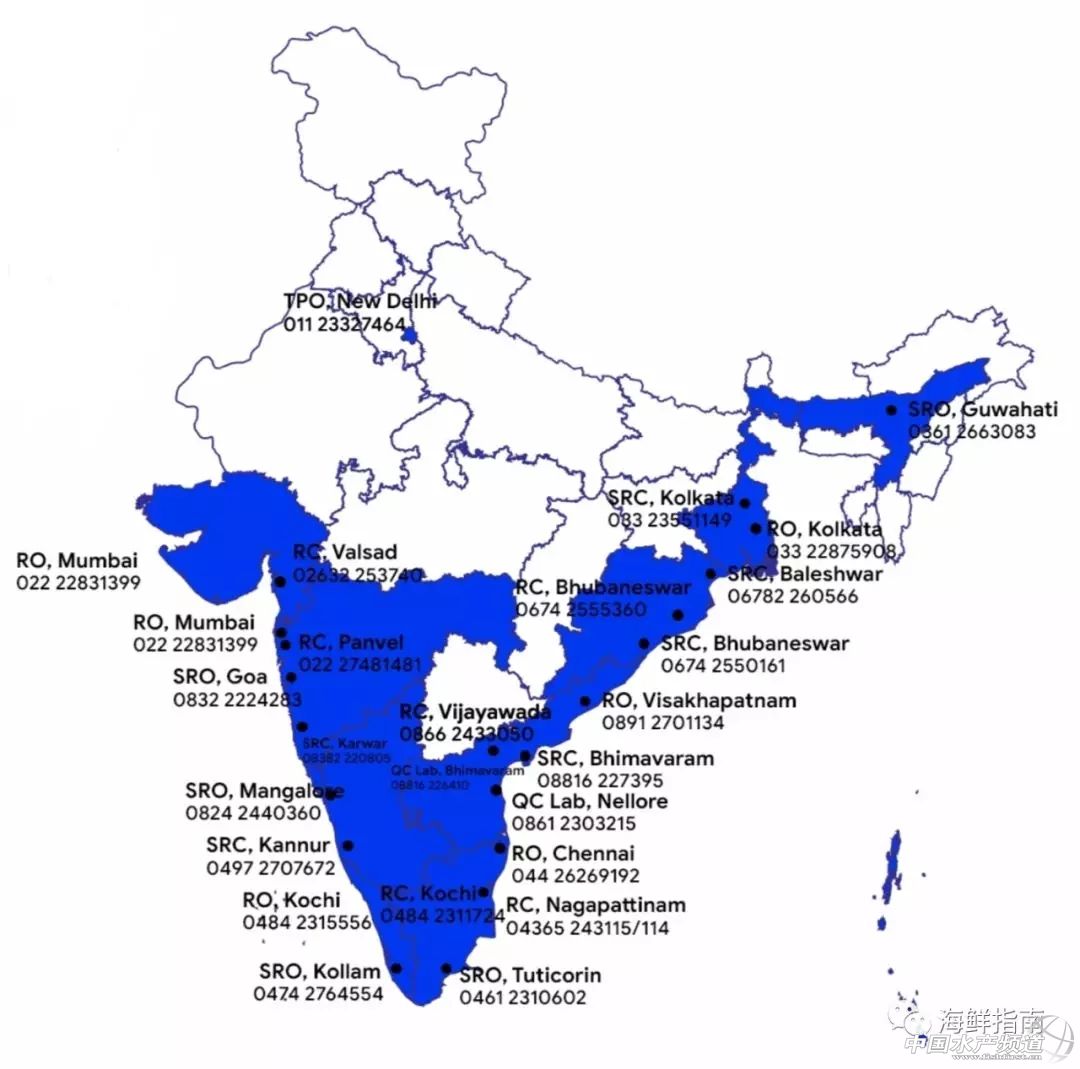 中国成国际白虾厂商必争之地！目前至春节，预计白虾还将存在严重供货缺口