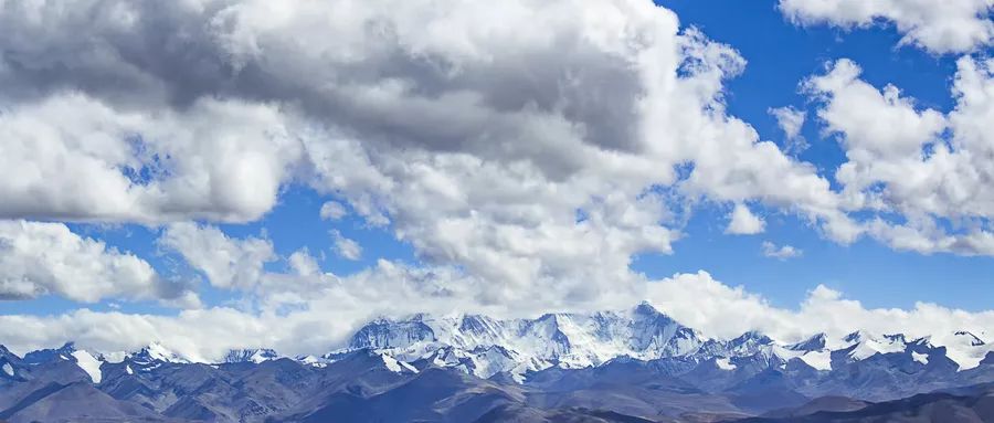 甘南藏族自治州：追赶着花香，不再是寂寞的高原