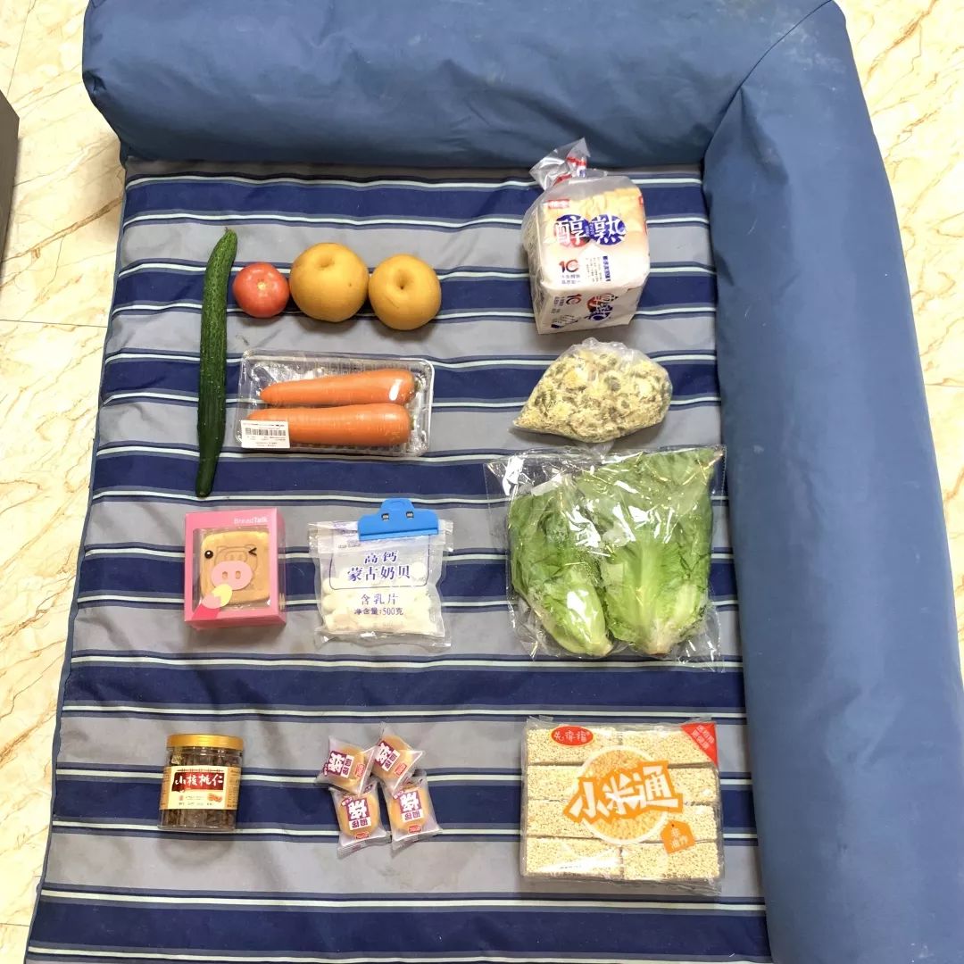 宠物大比拼螃蟹,宠物种类大比拼