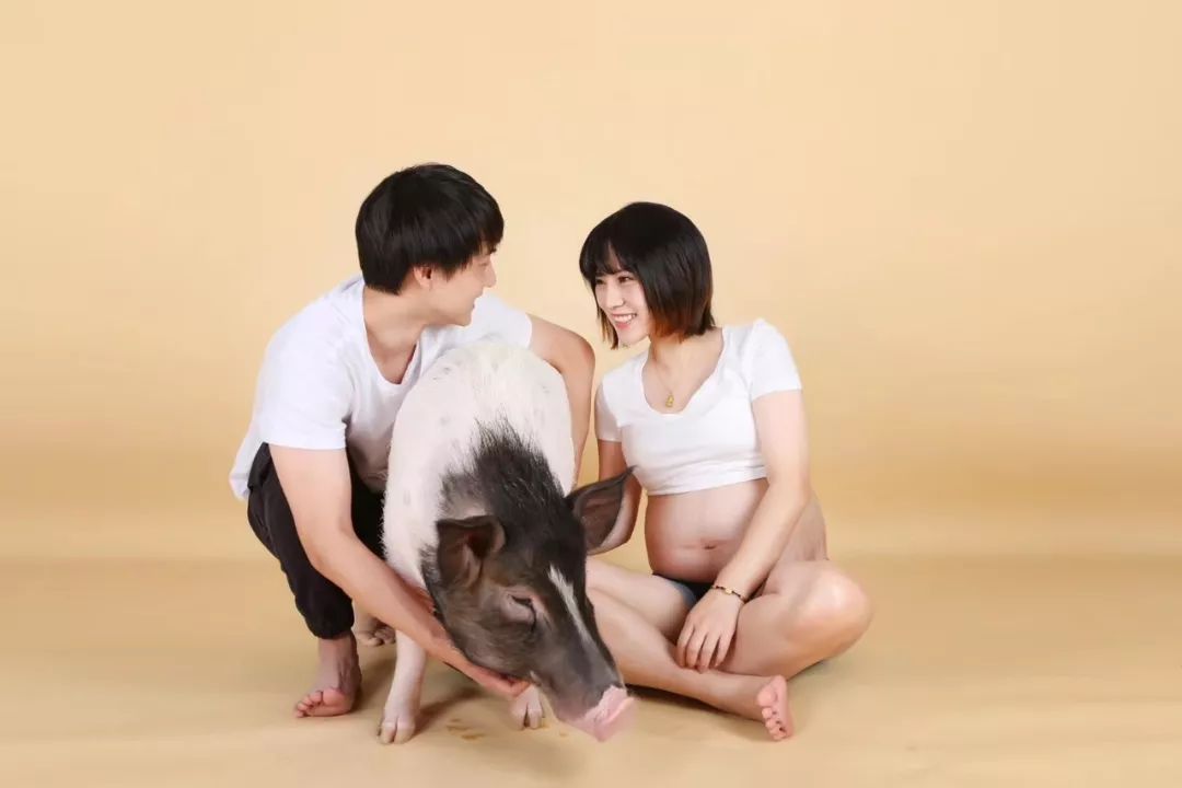 宠物大比拼螃蟹,宠物种类大比拼