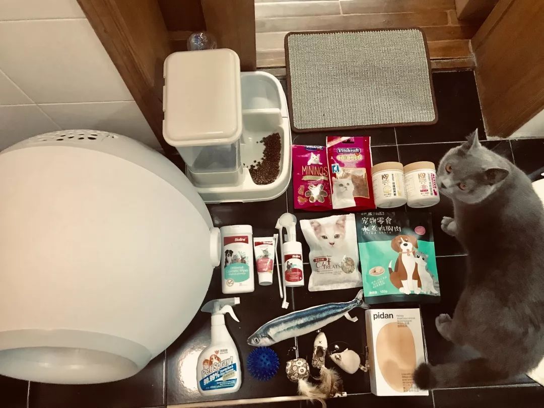 宠物大比拼螃蟹,宠物种类大比拼