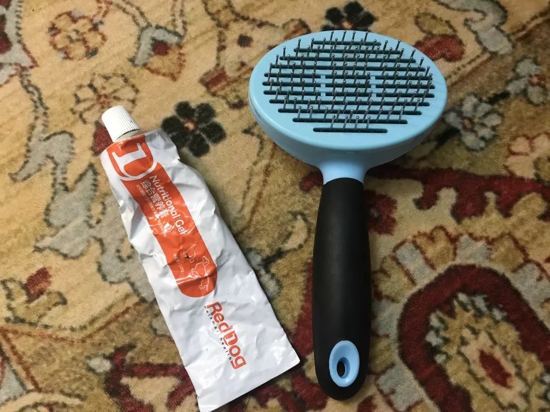 宠物大比拼螃蟹,宠物种类大比拼