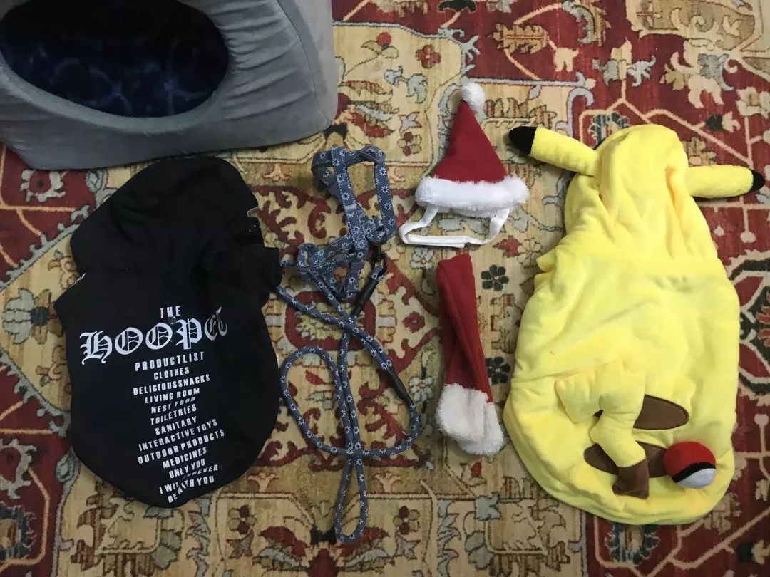 宠物大比拼螃蟹,宠物种类大比拼