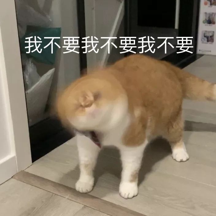 宠物大比拼螃蟹,宠物种类大比拼