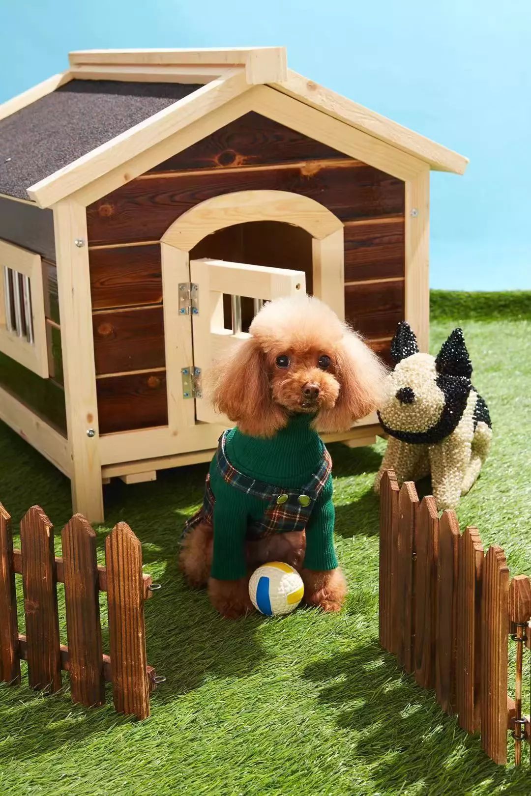 宠物大比拼螃蟹,宠物种类大比拼