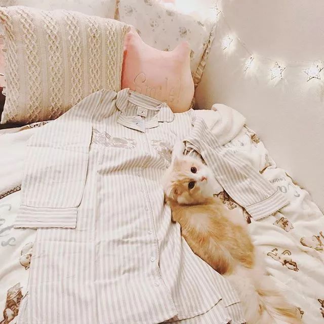 除了GU日本妹子的睡衣都是在这里买的！太太太太太可爱了