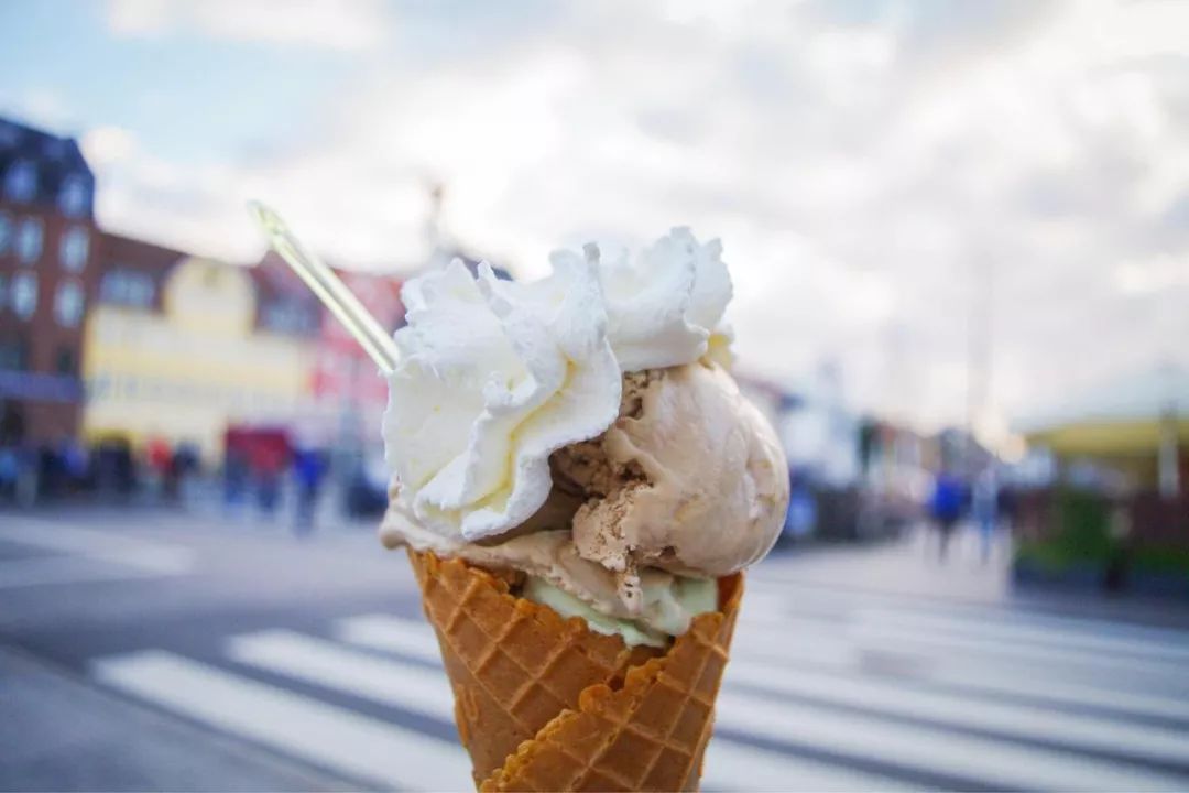 真羡慕丹麦人，连大象都提前退休了