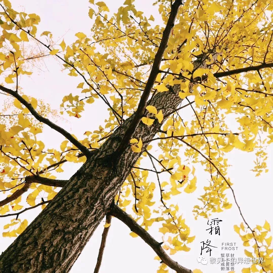 贝壳分享｜|她们说，秋冬也要认真穿