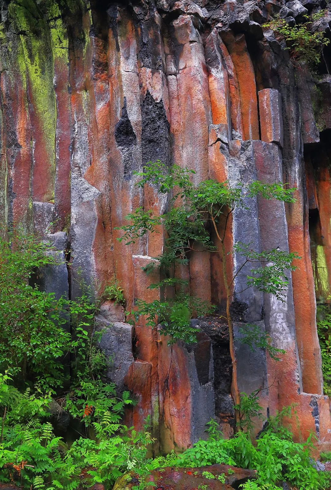 长白山神秘么,长白山有什么自然景象