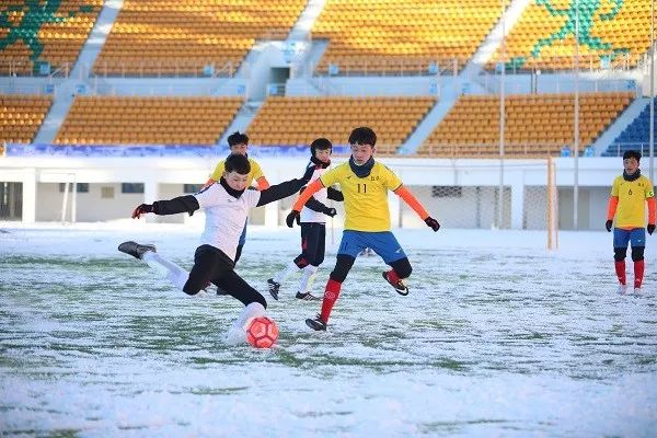 十四冬冰上龙舟比赛收官,十四运渭南比赛场馆都在哪