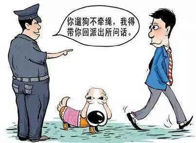 贵阳电子驾驶证开通了吗,贵阳犬证编号