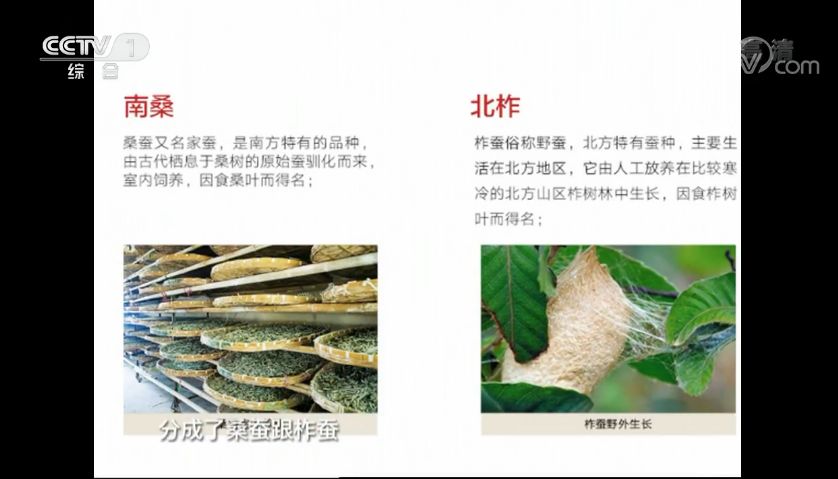 天气渐渐暖和了换被子蚕丝被,天气转凉暖被子