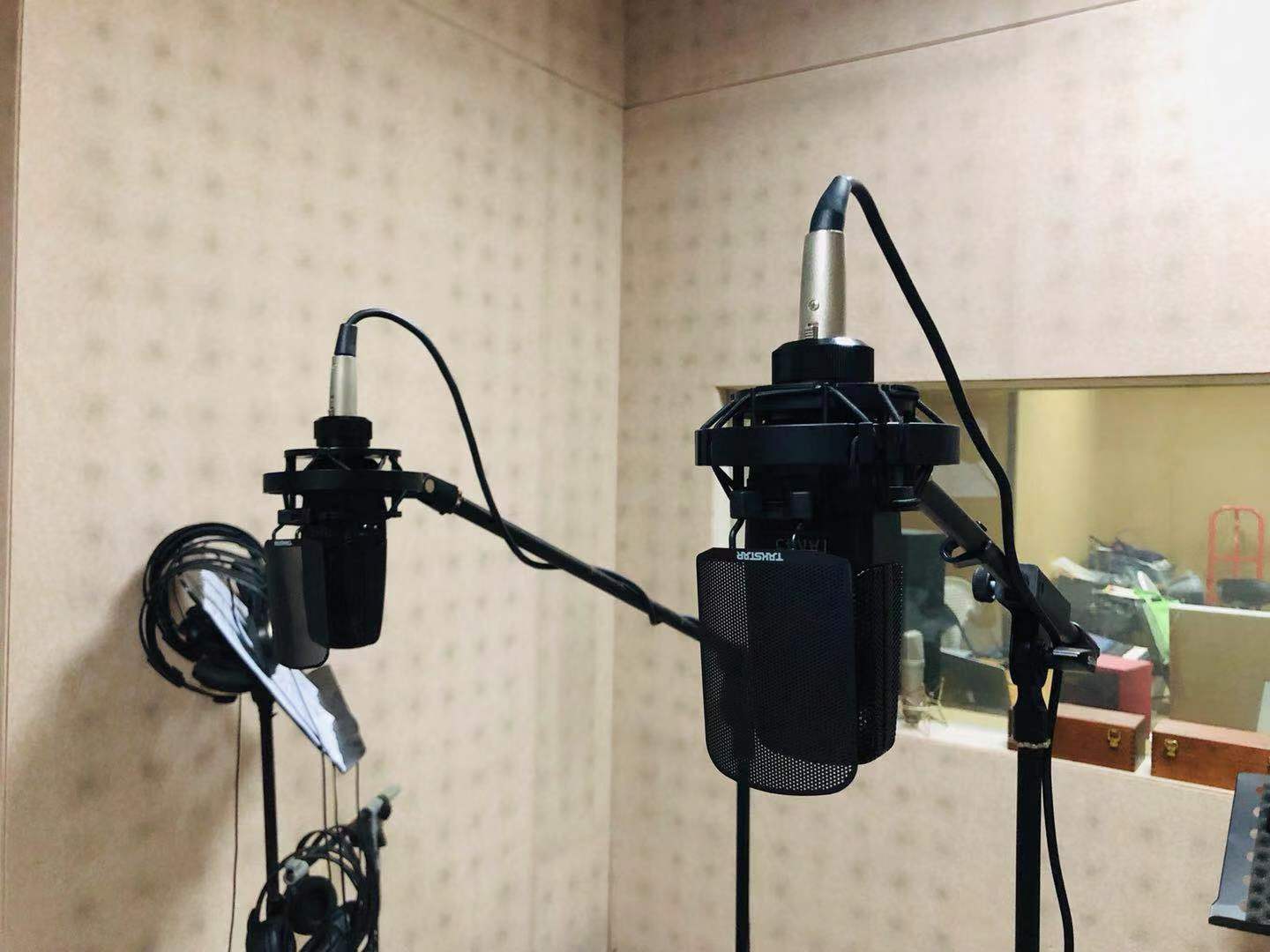 得胜tak45麦克风是电容的吗,得胜tak35电容麦克风