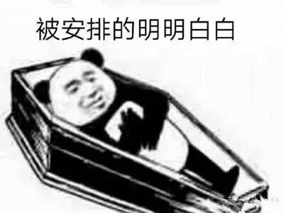 李佳琦回归备战双十一,李佳琦去年和今年双十一对比